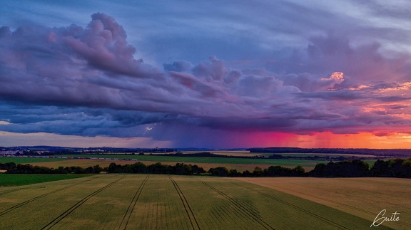 Chemin des vaches 1 signee
