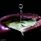 DSC 0186
