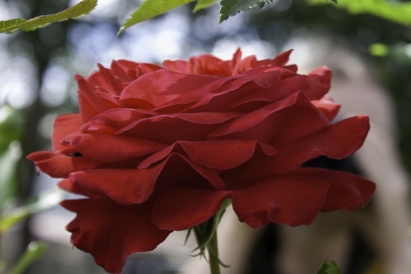 202407 Ministage 083