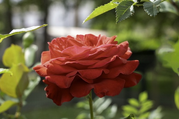 202407 Ministage 063