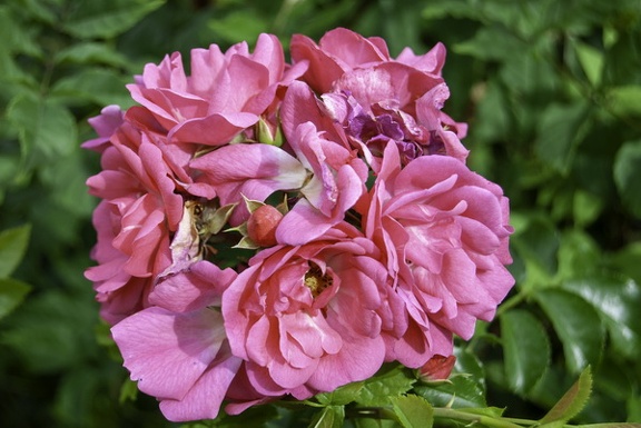 202407 Ministage 014