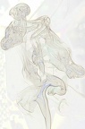 Transparence