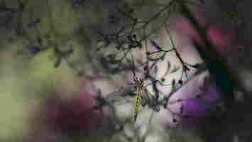 Au paradis des couleurs resultat