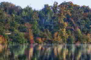 Au bord du lac resultat