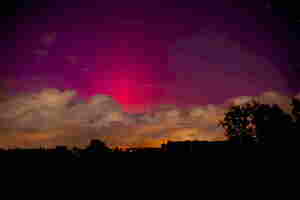 DSC-2151 - BELLE NUIT resultat