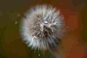 DSC-6913 - GRAINE DE STAR resultat